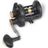 Black Cat Buster LTL 30 – Catfish Reel for Catfish Fishing, Multireel